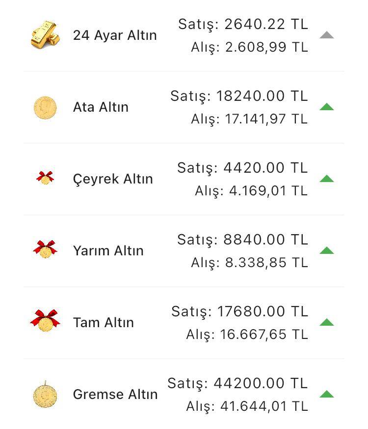 Konya’da altın fiyatları ve güncel döviz kurları I 17 Temmuz 2024 9